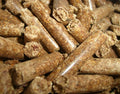 Bancale Pellet Squirrel Gold – 70 sacchi da 15 kg